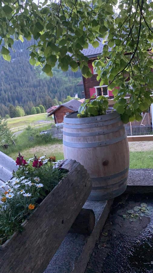 Gasthaus Edelweiss Langwies Dış mekan fotoğraf